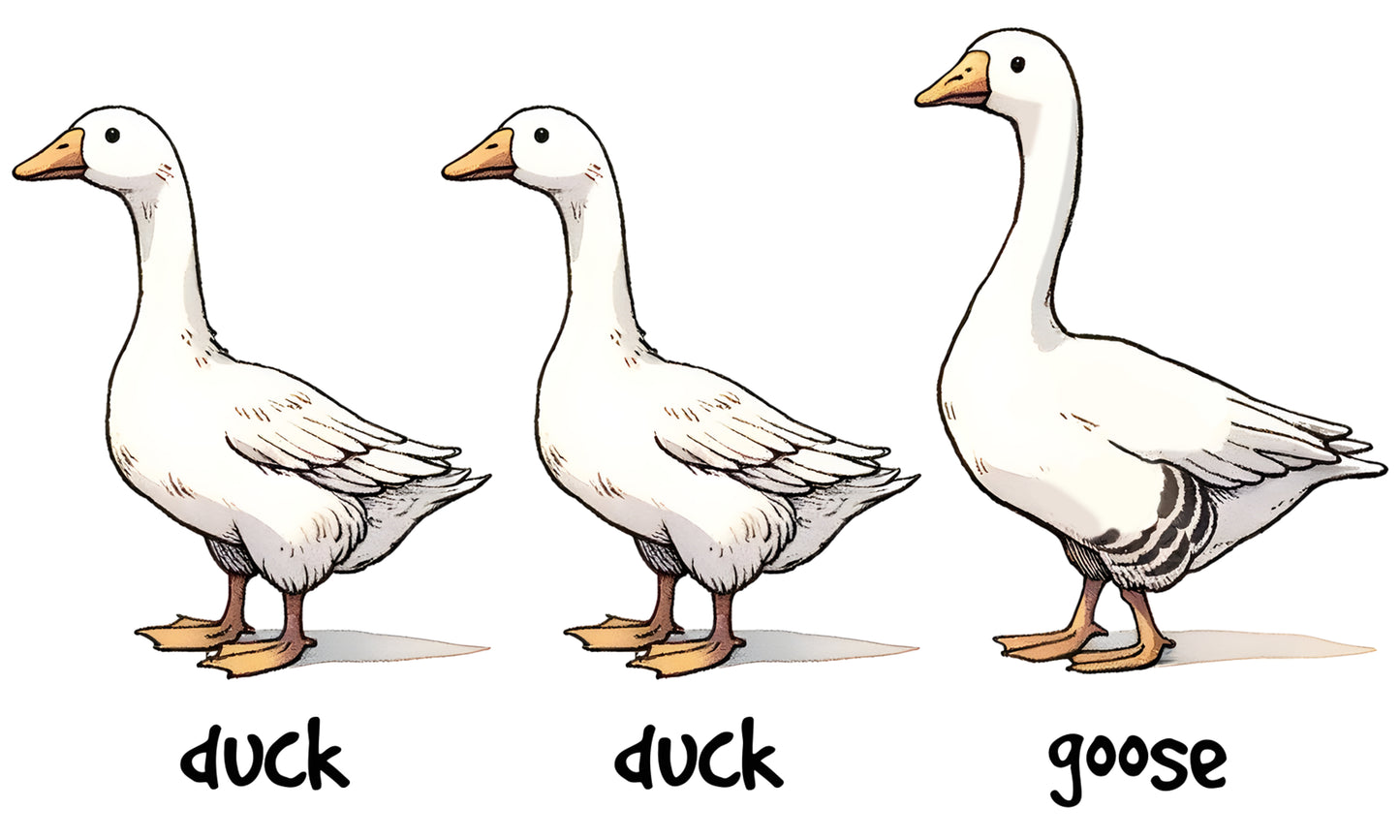 FU-21 Duck Duck Goose