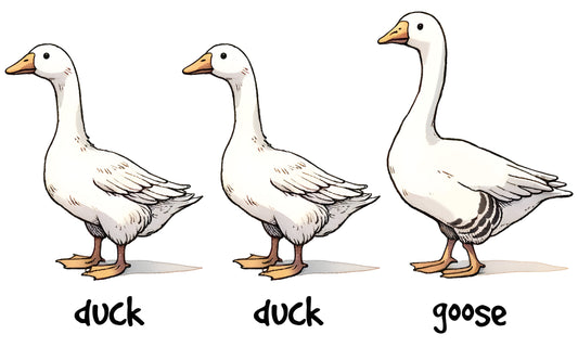 FU-21 Duck Duck Goose