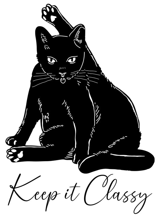 FU-35 Keep It Classy